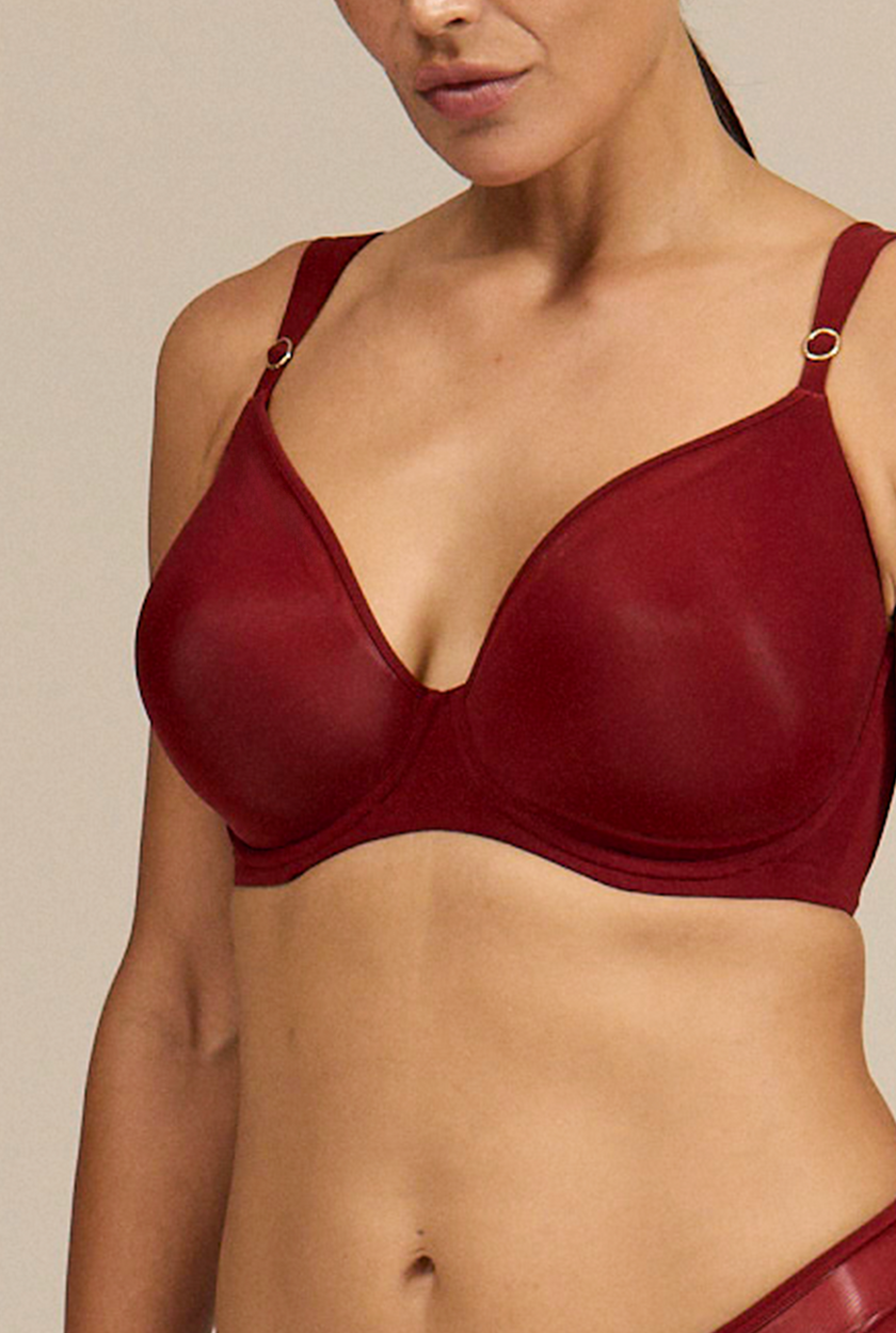 Le Curve - Wine in the Library (Bundle)