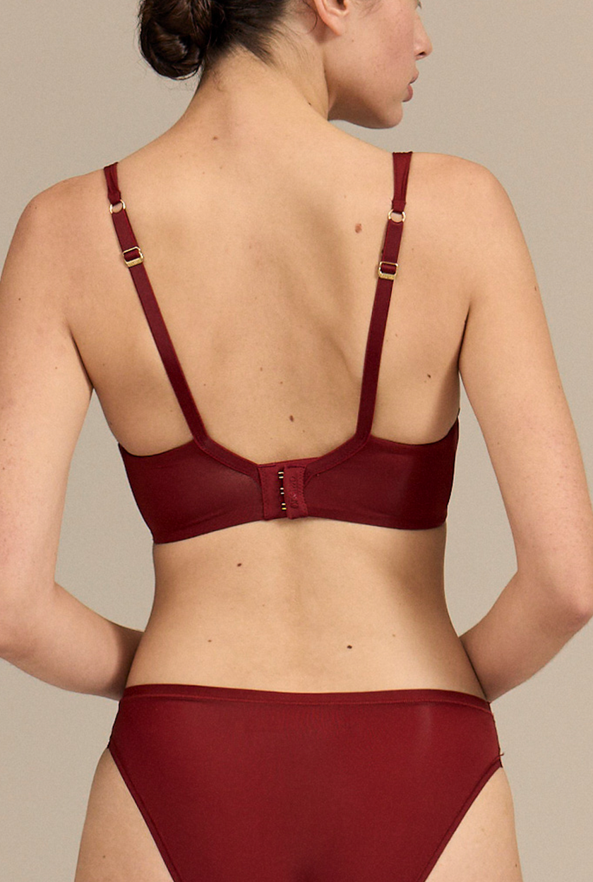 Le Original - Wine in the Library (Bundle)