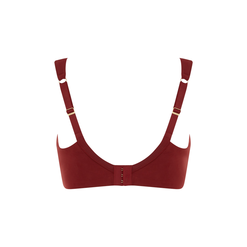 Le Curve - Wine in the Library (Bundle)